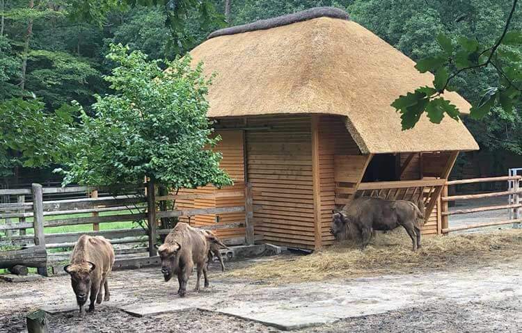 Осенний уик-энд в Польше Профрекрутингцентр